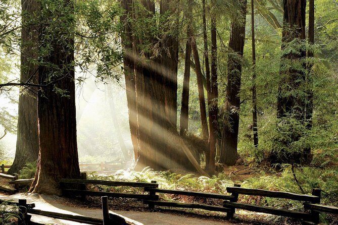 Muir Woods & Napa-8hr-Private Scenic Wine Tour From San Francisco - Pricing and Value Analysis