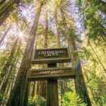 Muir Woods & Sausalito Tour + Hop-On Hop-Off Tour - Is This Tour Worth It?