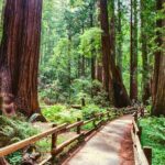 Muir Woods & Wine Tour: Redwoods & Tastings at 3 Wineries - Frequently Asked Questions