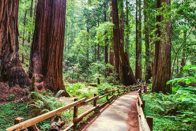 Muir Woods & Wine Tour: Redwoods & Tastings at 3 Wineries - Frequently Asked Questions