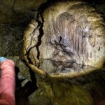 Multi-Cave Experience - What the Tour Offers in Detail
