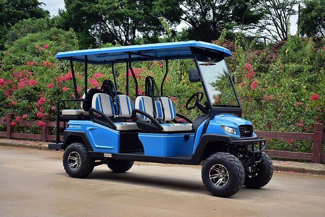 Multi Day 6 Passenger LSV Golf Cart Rental - Final Thoughts