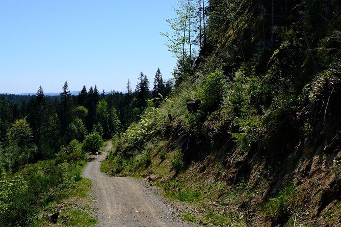 Multi Day Trek from Vancouver to Victoria - What Travelers Can Expect: The Real Deal