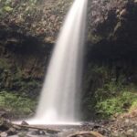 Multnomah Falls and Columbia River Gorge Half-Day Hiking Tour - Who Should Consider This Tour?