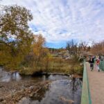 Murphys Scavenger Hunt Walking Tour - Pricing and Value