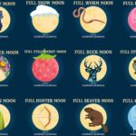 Murrells Inlet by Moonlight: Legends & Lores of the Inlet - The Narration and Stories