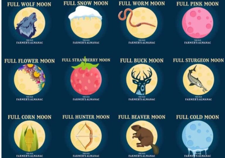 Murrells Inlet by Moonlight: Legends & Lores of the Inlet - The Narration and Stories