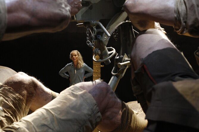 Museum of NZ Te Papa Tongarewa: Gallipoli Exhibition Guided Tour - The Value of the Tour: Is It Worth It?