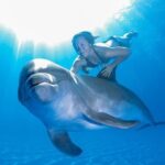 Must-DO The only and Unique Natural Space Dolphin Encounter Cabo - Value for Money and Overall Impression