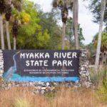 Myakka State Park E-bike Safari - What about group size and safety?