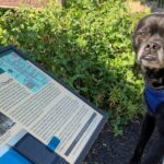 Mysteries on the Move: Scavenger Hunt in San Diego - FAQs