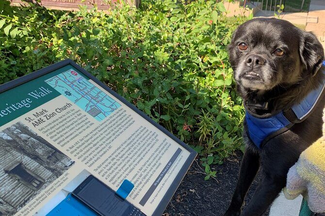 Mysteries on the Move: Scavenger Hunt in San Diego - FAQs