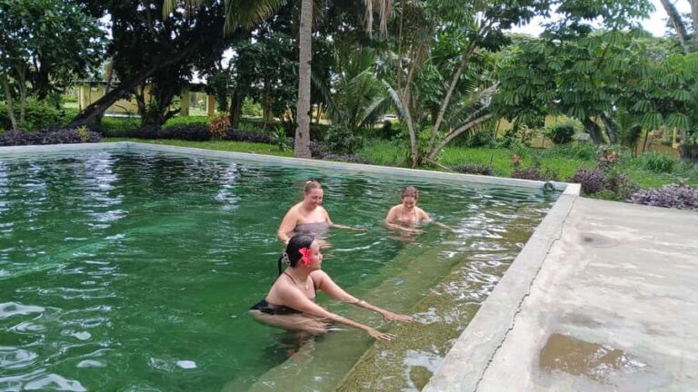 NADI: Sabeto Tifajek Mudpool & Hot Spring Tours & Tickets - What’s Included & What to Expect