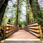 Nanaimo: Vancouver Island Waterfalls, Vistas, Hikes & Caves - What Do the Reviews Say?