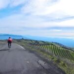 Napa/Sonoma: Guided Tour for Cycling Enthusiasts - The Scenic Vistas and Quiet Trails