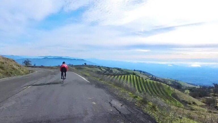 Napa/Sonoma: Guided Tour for Cycling Enthusiasts - The Scenic Vistas and Quiet Trails