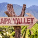 Napa Valley: Guided Wine Tour with Picnic Lunch - Exploring the Itinerary