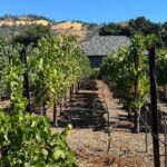 Napa Valley Luxury Wine Tours & Car Services - Who Should Consider This Tour?