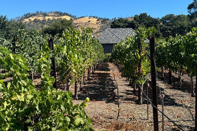 Napa Valley Luxury Wine Tours & Car Services - Who Should Consider This Tour?