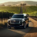 Napa Valley Private Luxury Wine Tour Transportation - FAQ