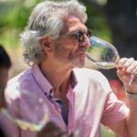 Napa Valley Wine Safari Tour Explore Wine Country's Hidden Gems - Real Traveler Insights and What to Expect