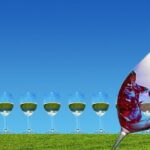Napa Valley Wine Tasting Tour 6 to 8 Hours max 14 passenger - Pricing and Value