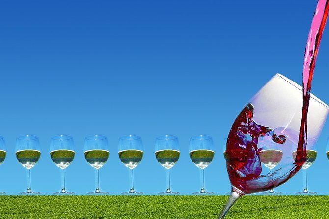 Napa Valley Wine Tasting Tour 6 to 8 Hours max 14 passenger - Pricing and Value