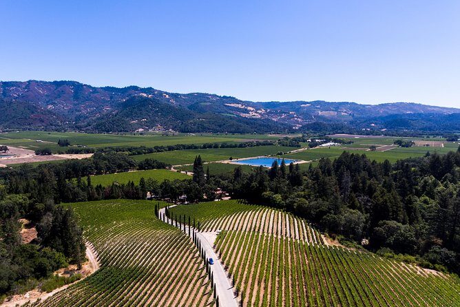 Napa Valley's Best Wine Tour w/ Local Expert - Practicalities & Tips