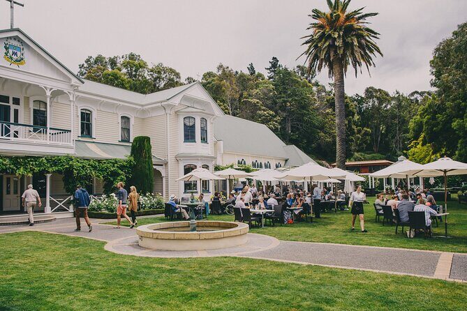 Napier Bike Hire - Who Should Consider This?