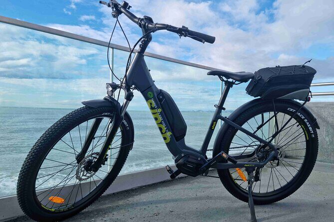 Napier E-bike Hire - The Experience of the Ride