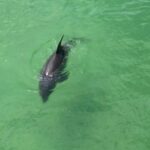 Naples, FL: Group Sightseeing Guided Bike Tour - Deep Dive into the Details