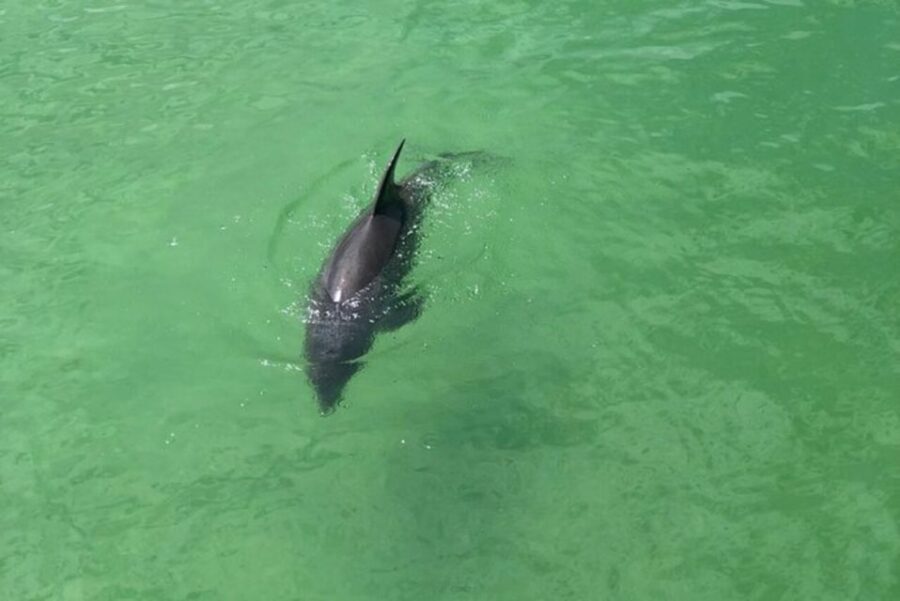 Naples, FL: Group Sightseeing Guided Bike Tour - Deep Dive into the Details