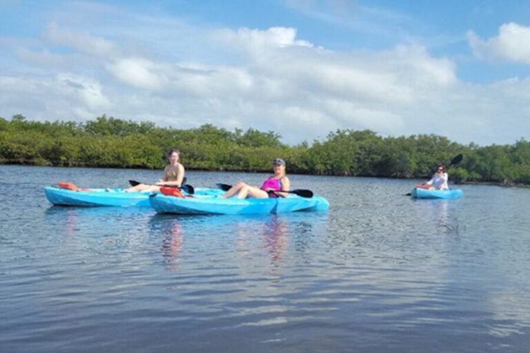 Naples, FL: Guided Standup Paddleboard or Kayak Tour - The Itinerary and Experience Breakdown