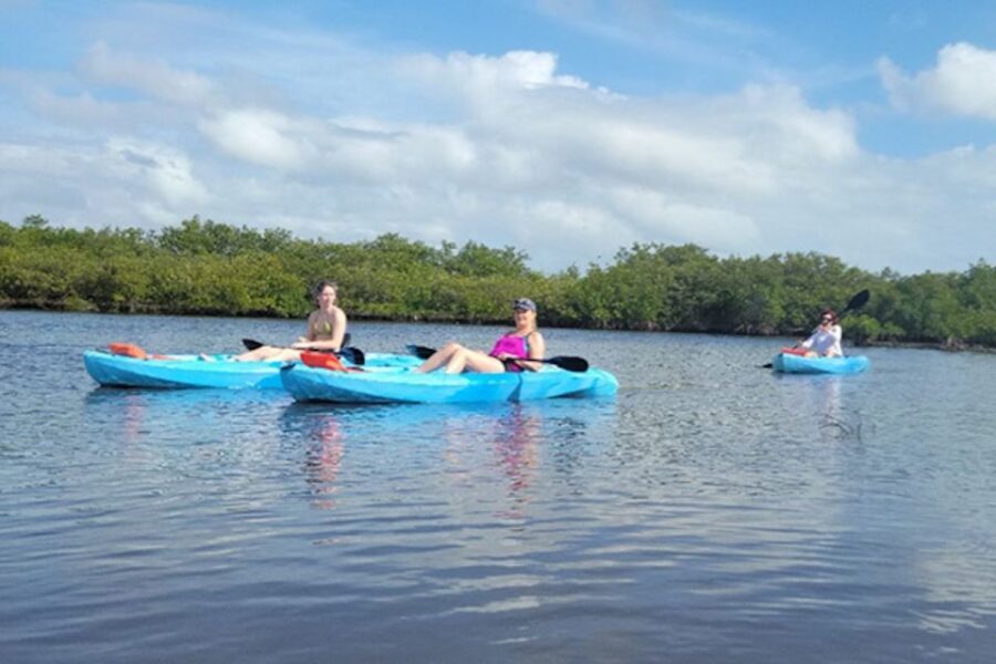 Naples, FL: Guided Standup Paddleboard or Kayak Tour - The Itinerary and Experience Breakdown