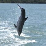 Naples, FL: Manatee, Dolphin, 10,000 Islands Sunset Cruise - Wildlife Spotting and Scenic Highlights