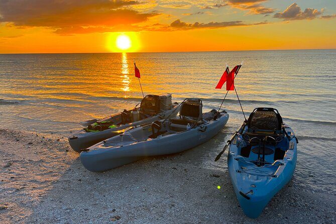 Naples Guided Sunset Kayak Tour Activity - The Value of the Experience