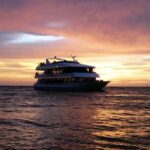 Naples: Sightseeing and Dining Cruises - Food and Drink Options