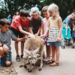Nashville Zoo: Any-Day Admission Ticket - Who Is It Best For?