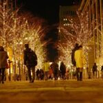 Nashvilles Holiday Harmony: A Private Christmas Melody Tour - What Makes This Tour Stand Out?