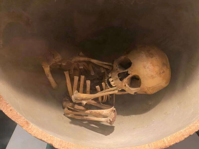 National Museum of Anthropology: a journey into Mexico's past-English lang. - FAQs