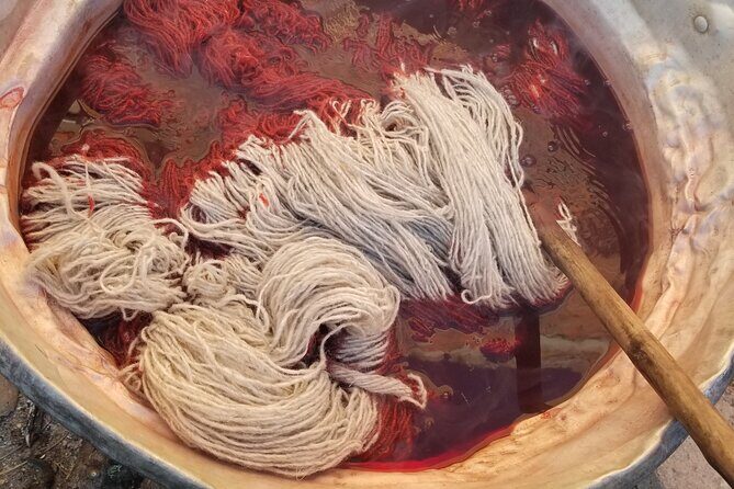 Natural Dyeing and Organic Weaving Workshop in Oaxaca - Practical Info and How It Fits Into Your Trip