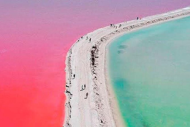 Natural Pink Lake Tour Las Coloradas only from Playa del Carmen - What to Expect on the Tour