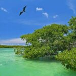 Nature Day, Sian Kaan Biosphere Tour! Round Transportation from Tulum City - The Detailed Itinerary: What to Expect