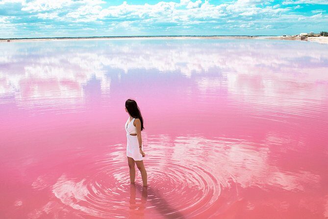 Nature Tour at Las Coloradas and Rio Lagartos Biosphere - Who Will Love This Tour