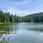 Nature Walk - Deep Dive into the Itinerary and Experience