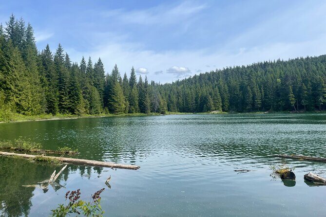 Nature Walk - Deep Dive into the Itinerary and Experience