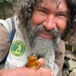 Nature Walk/Hike Tour near Disneyland: ID plants & wildlife - Value for Money & Practical Considerations