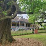 Nawlins Luxury: Laura Plantation Tour w/Transportation - Who Is This Tour Best For?