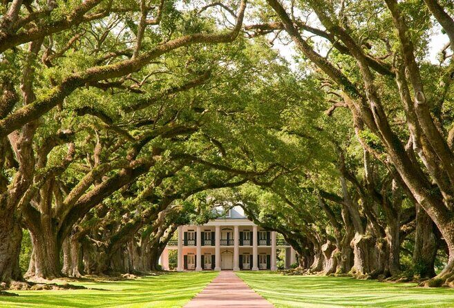 Nawlins Luxury: Oak Alley Plantation & Pontoon Swamp Tour w/Transportation - An Honest Look at the Nawlins Luxury Oak Alley & Swamp Tour