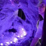 Near Gold Coast: Crystal Castle Admission Ticket - Who Should Consider This Visit?